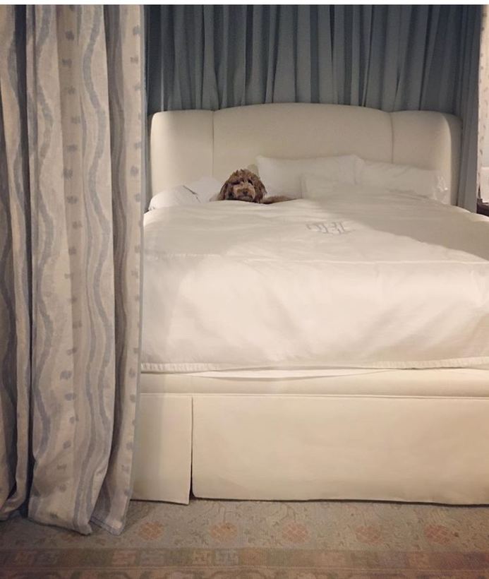 Bed with upholstered surround — upholstered by M&M Upholstery, Dallas
